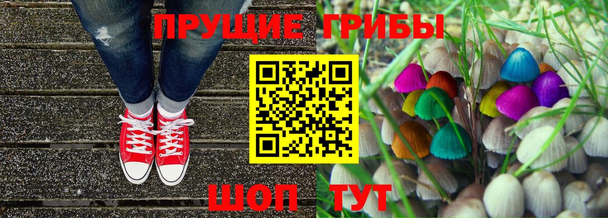 Галлюциногенные грибы GOLDEN TEACHER  Вход с VPN  Псилоцибиновые грибы MAGIC MUSHROOMS  Владимир 