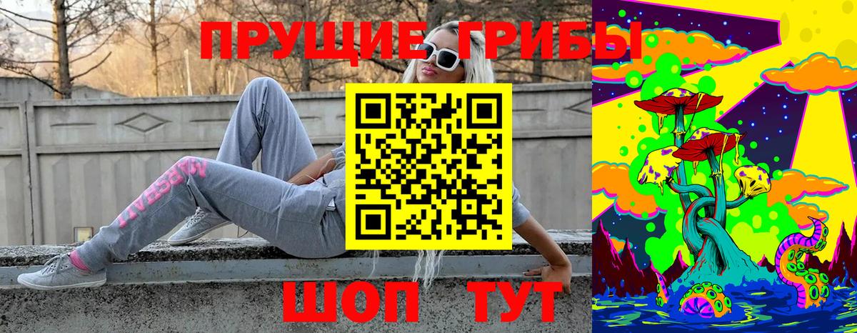 Псилоцибиновые грибы GOLDEN TEACHER Владимир
